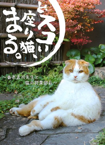 【中古】どスコい座り猫、まる。～養老孟司先生と猫の営業部長 [DVD]