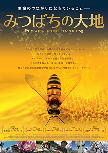【中古】みつばちの大地 [DVD]