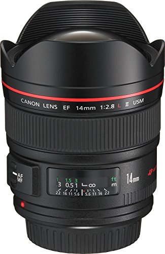 【中古】Canon 単興味の中心広角水晶体 EF14粍 F2.8 L II USM フルサイズ相応う