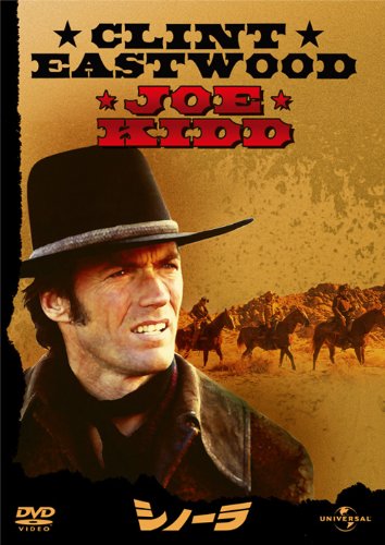 【中古】シノーラ 【ベスト・ライブラリー 1500円：アクション映画特集】 [DVD]