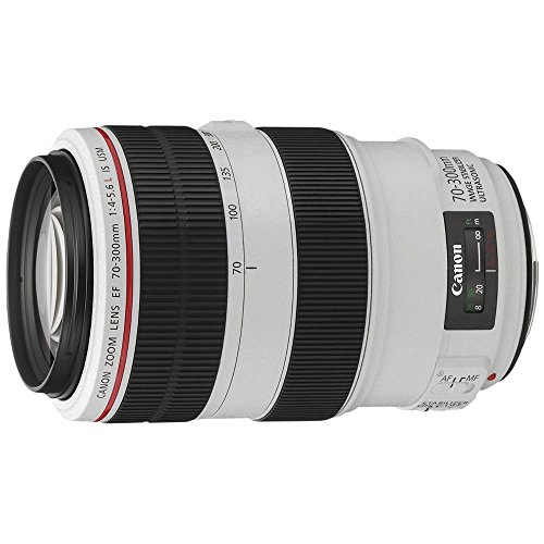 【中古】Canon EF水晶体 EF70-300粍 F4-5.6L IS USM 望遠レンズ 望遠
