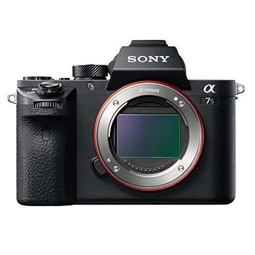 【中古】SONY(ソニー) フルサイズミラーレス一眼 α7S 上半身 ILCE-7S