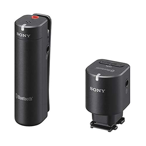 【中古】SONY(ソニー) ワイヤレスマイクロホン ECM-W1M C