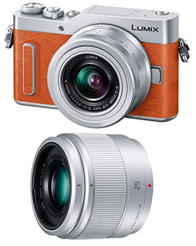【中古】パナソニック 銀鏡受け答え一眼写真機 ルミックス GF10 ダブルレンズキット 判定基準望遠レンズ/単興味の中心水晶体属する 白いこと DC-GF10W-W
