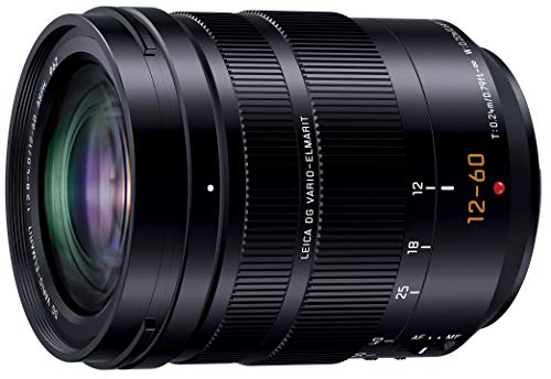 【中古】パナソニック(Panasonic) 望遠レンズ マイクロフォーサーズ用 ライカ DG VARIO-ELMARIT 12-60粍/F2.8-4.0 ASPH./POWER O.I.S. H-ES12060