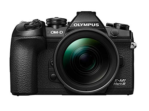 【中古】OLYMPUS 鏡鑑受け答え一眼写真機 OM-D E-M1 MarkIII 上半身 黒いこと