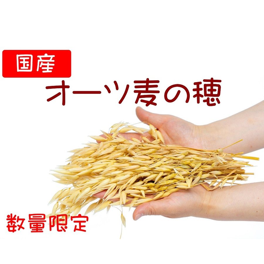 64%OFF!】 P2 国産 農薬を使用せず国内で栽培された安心