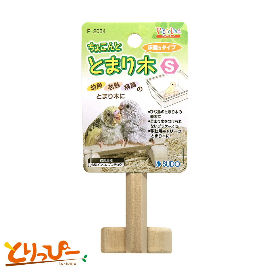 カワイ   ニームパーチS   9992256