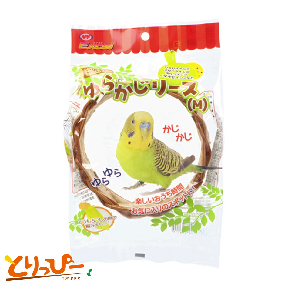 うめりんご♥️小鳥ちゃん♥️ゆらゆらハウス♥️インコ、文鳥etc Broadcast on TV [Challenging Chichin Puipui!] Budgerigar Ume
