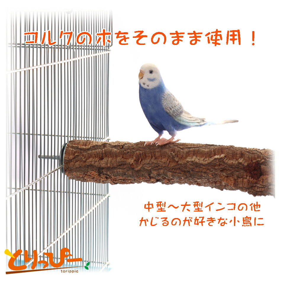 楽天市場 送料無料 インコのおもちゃ コルク枝のとまり木 30cm 天然木 とりっぴー小鳥用品専門店