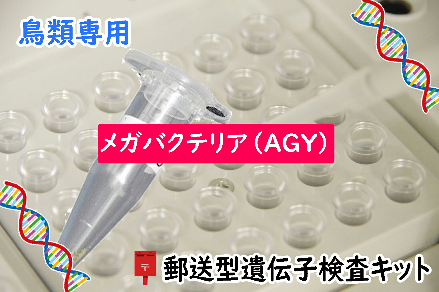 imgrc0096195716.jpg