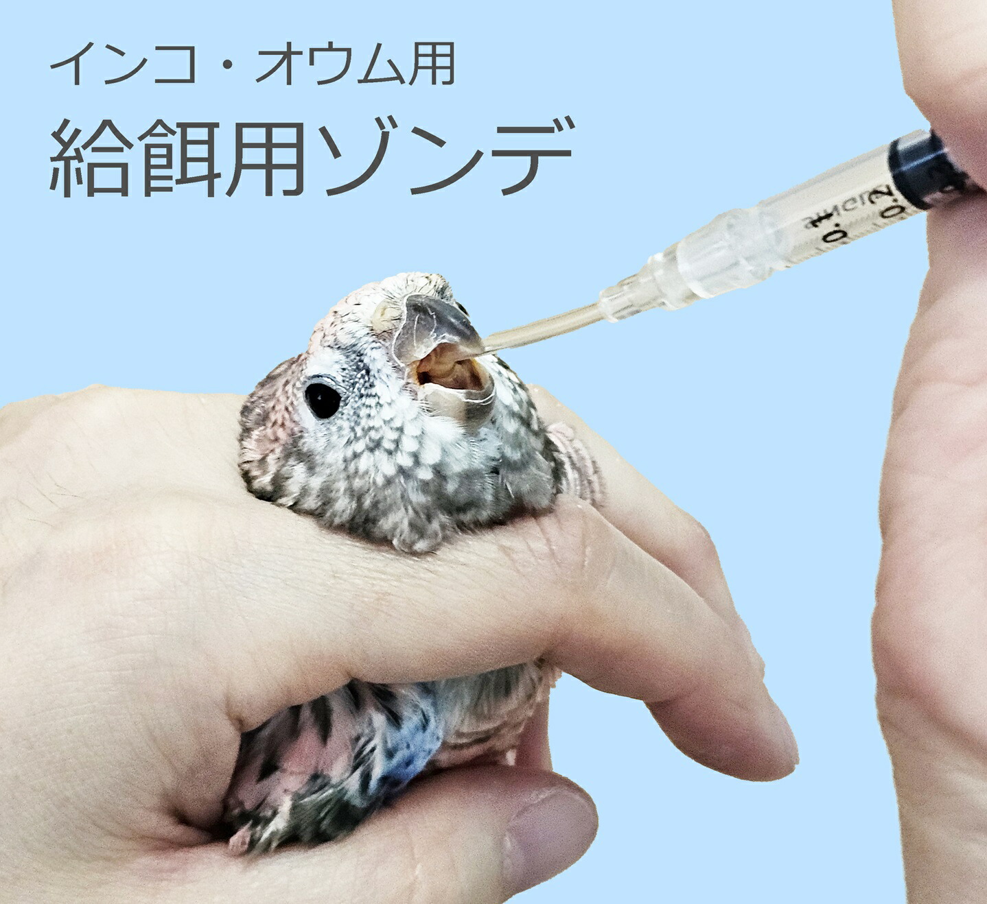 楽天市場】送料無料 | 鳥類（インコ・オウム等） 強制給餌用