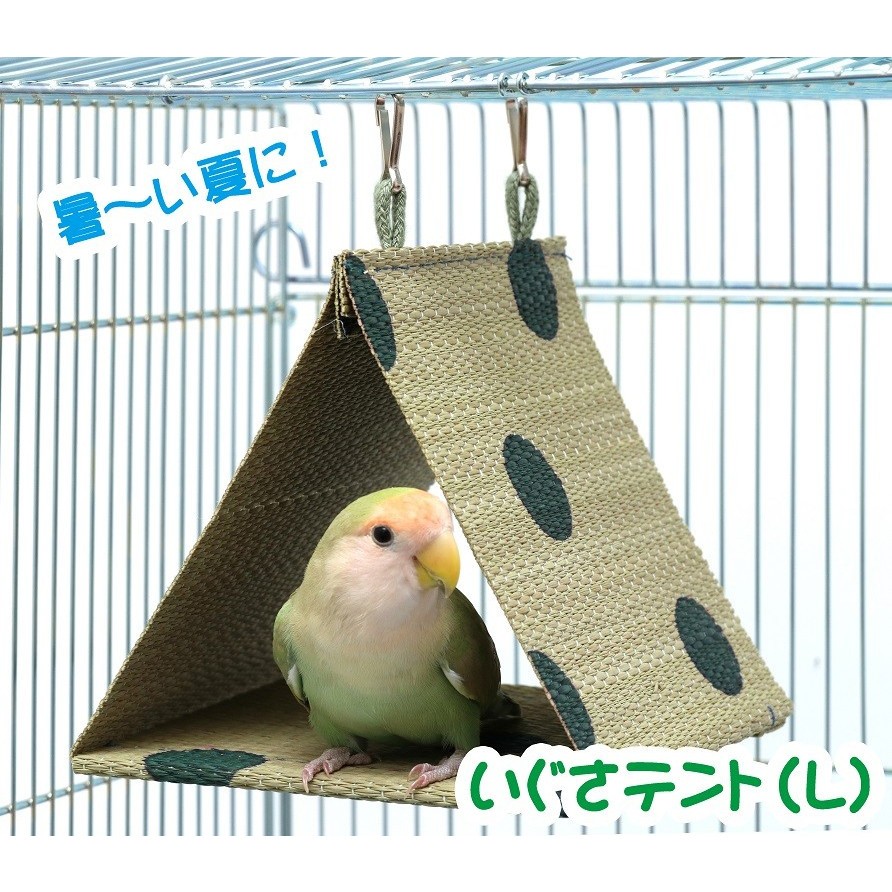 楽天市場】送料無料 | インコのおもちゃ 天然100％コルク ブロック（大） : とりっぴー小鳥用品専門店