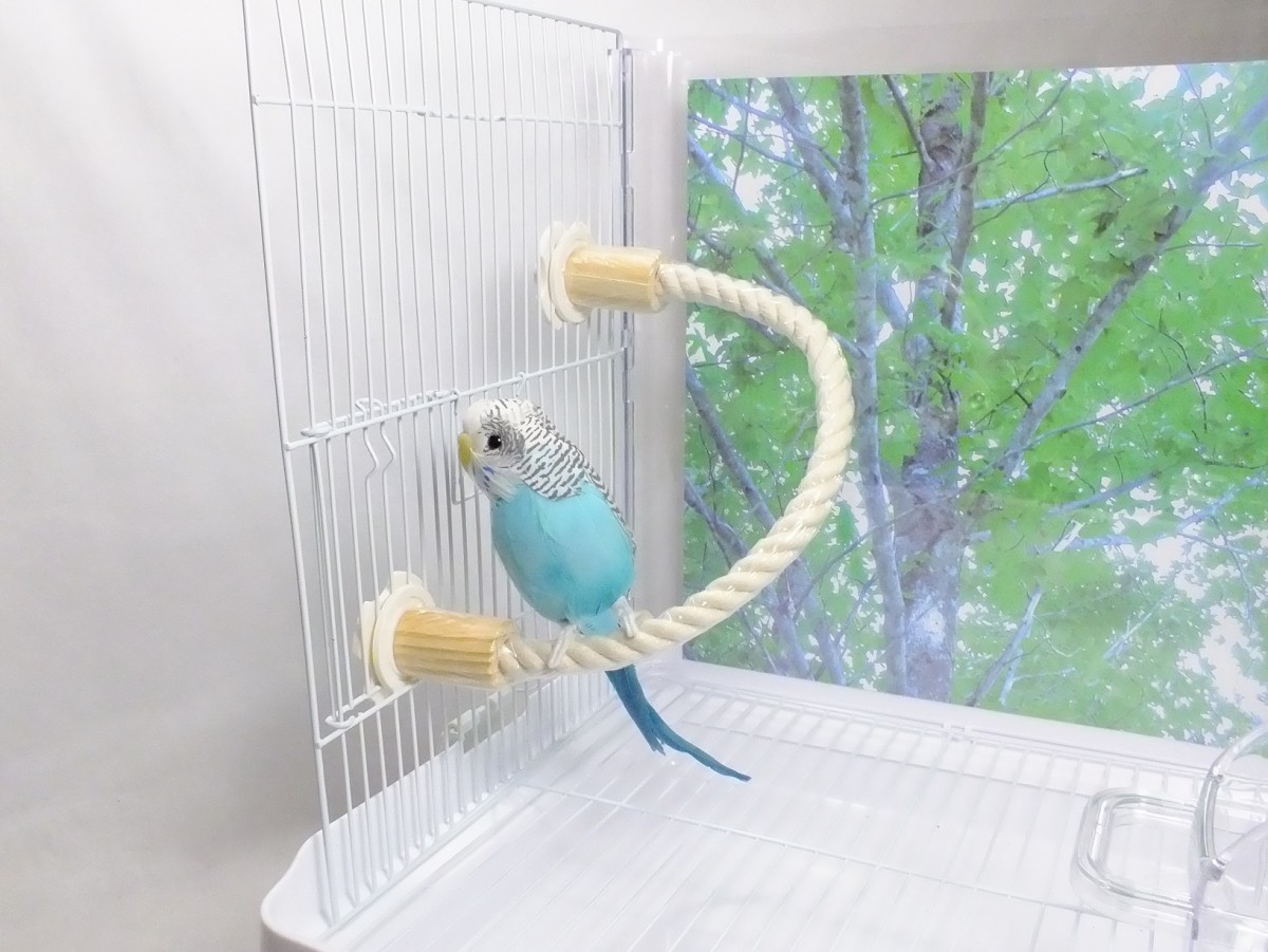 サービス 00303C インコ #0297C 木材と麻紐とラタンボールのリース型のおもちゃ