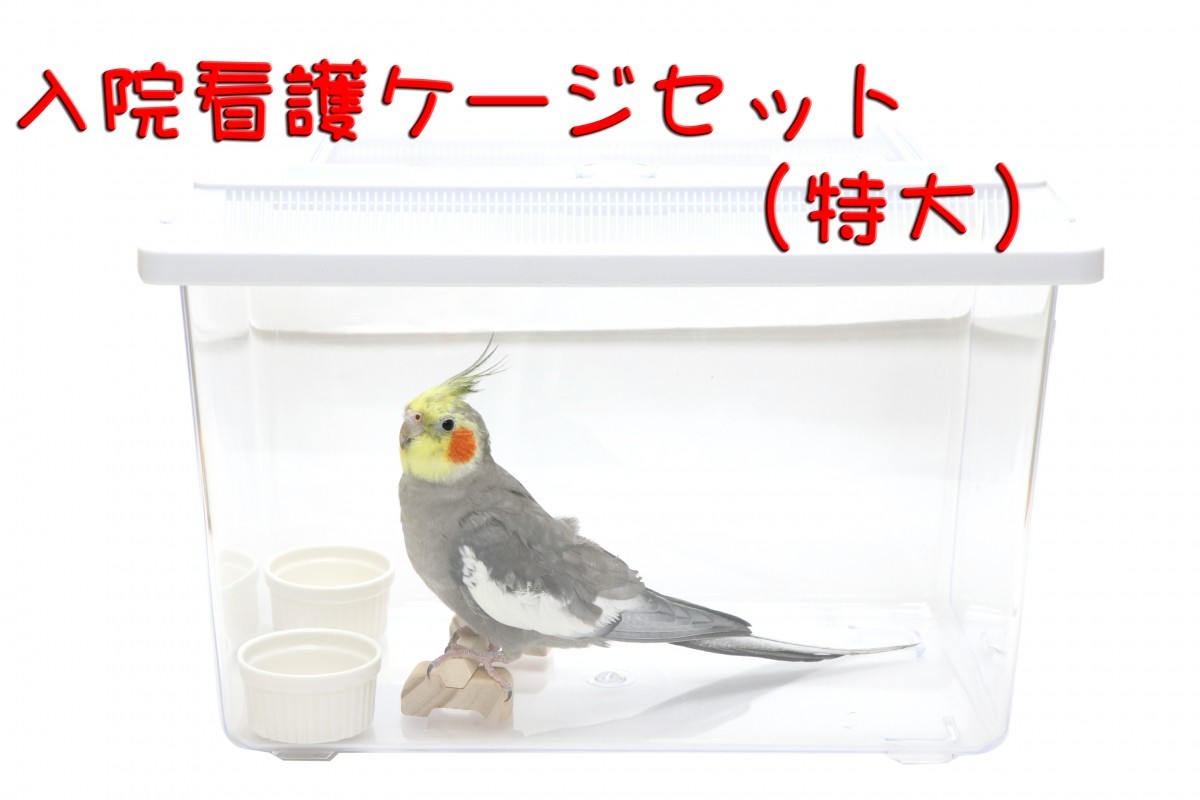 楽天市場 送料無料 愛鳥 New看護入院ケース 中型インコ 保温 安静を保つ特製セット とりっぴー小鳥用品専門店