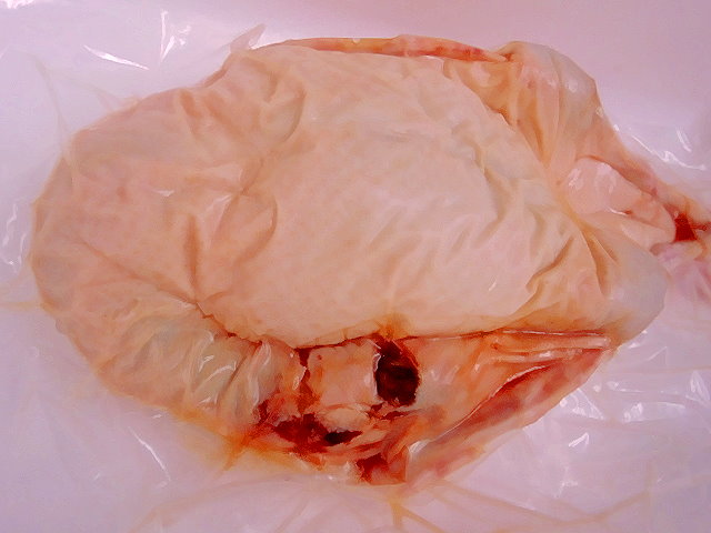 合鴨 丸どり 1羽約2.1～2.4kg 【和歌山県産】
