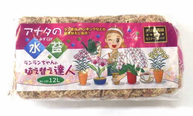 ファッション通販 あかぎ園芸 チリ産 高級 水苔 500g 12袋 fucoa.cl