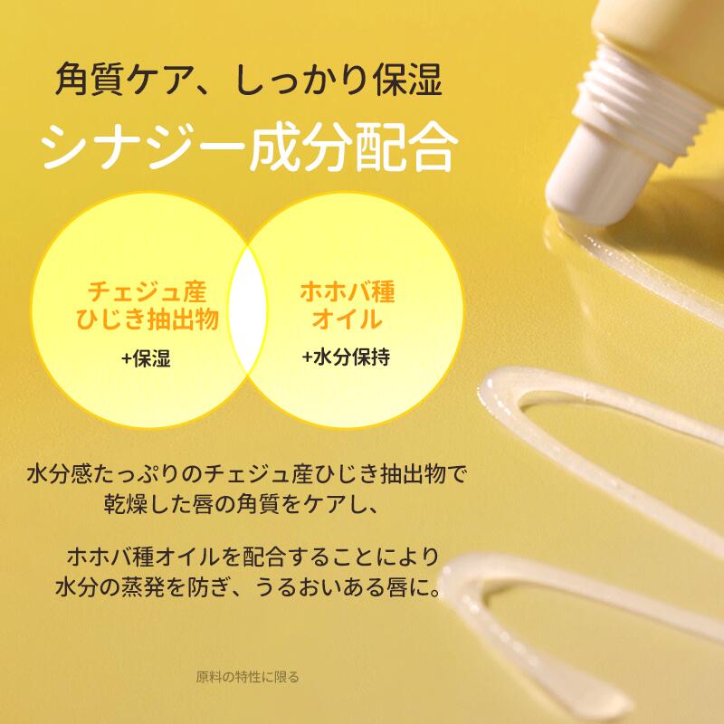 日本公式販売店】 Torriden トリデン ソリッドイン セラミド リップ