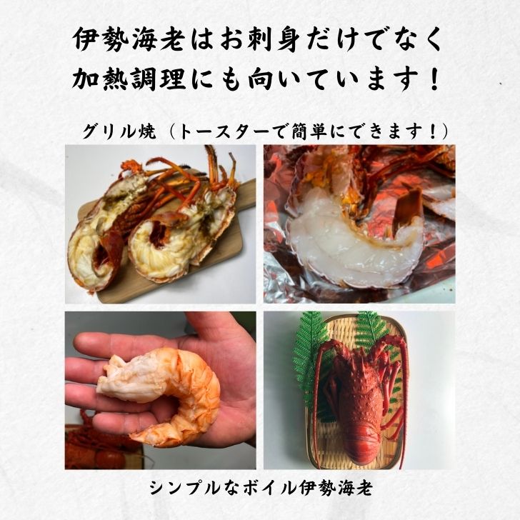 登場! 伊勢海老 ２尾 食べ比べセット 国産 オーストラリア産 fucoa.cl