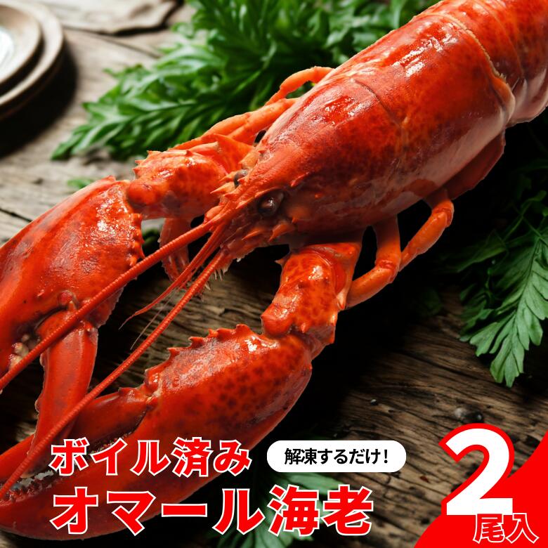 【冷凍】ボイル済みオマール海老 2尾セット（1尾350～400g）