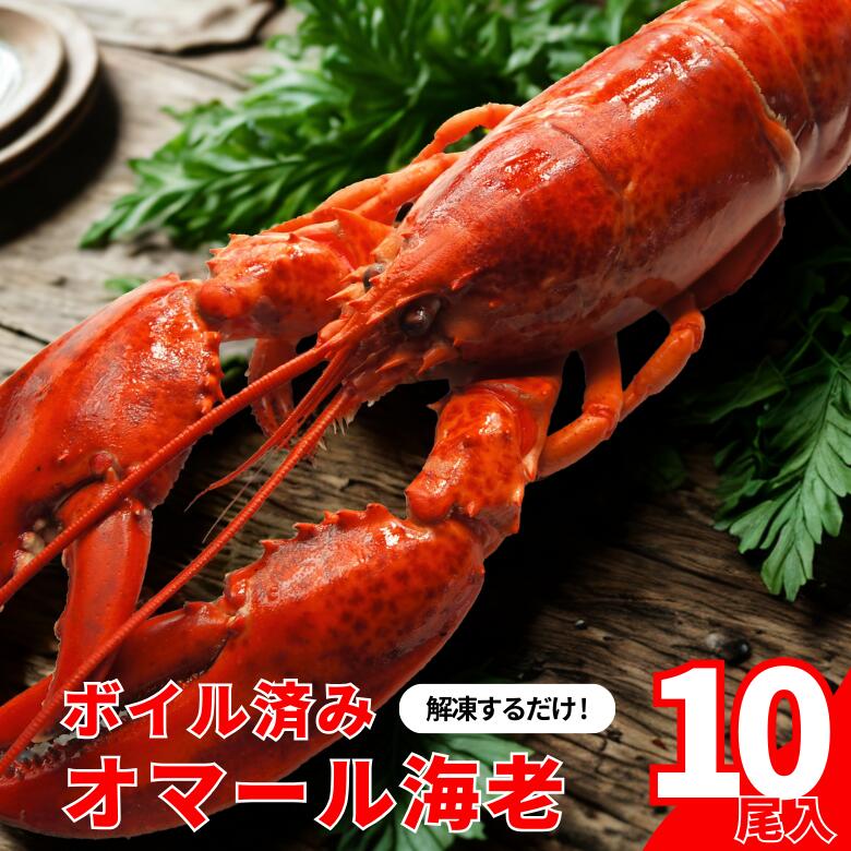 【冷凍】ボイル済みオマール海老  10尾セット（350～400g）