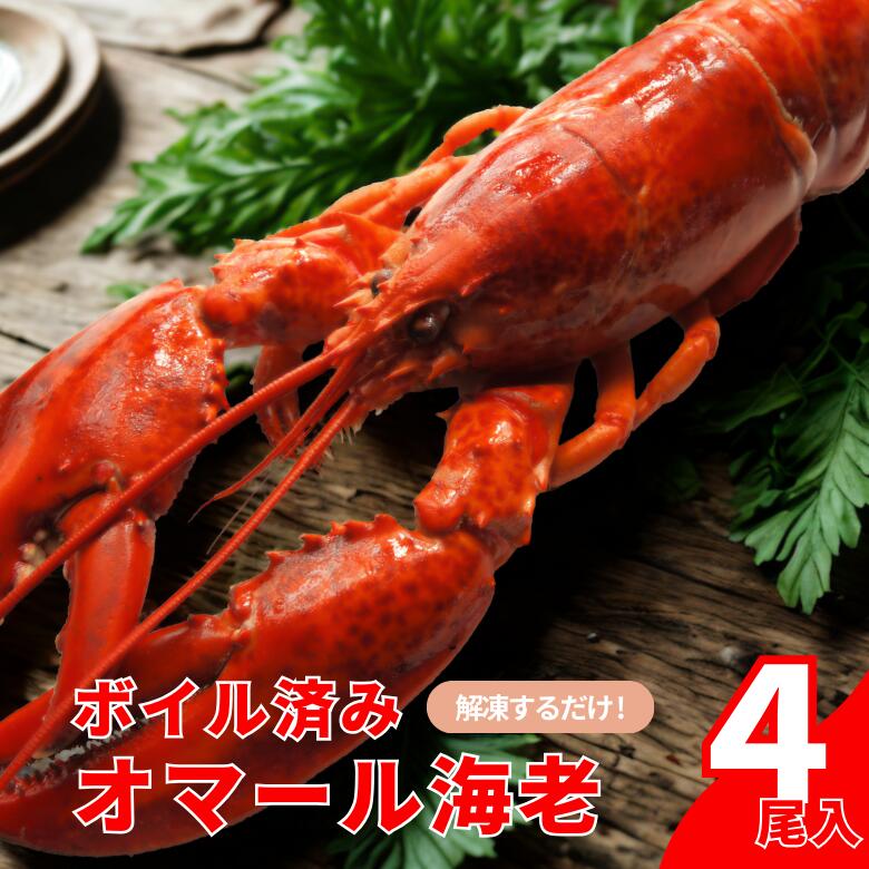 【冷凍】ボイル済みオマール海老  4尾セット（350～400g）