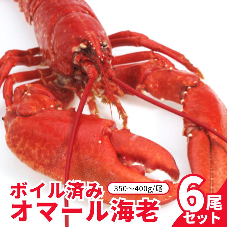 オマール海老 UHP冷凍》オマール海老テール 3-4オンス(約85g-110g前後) 2尾セット