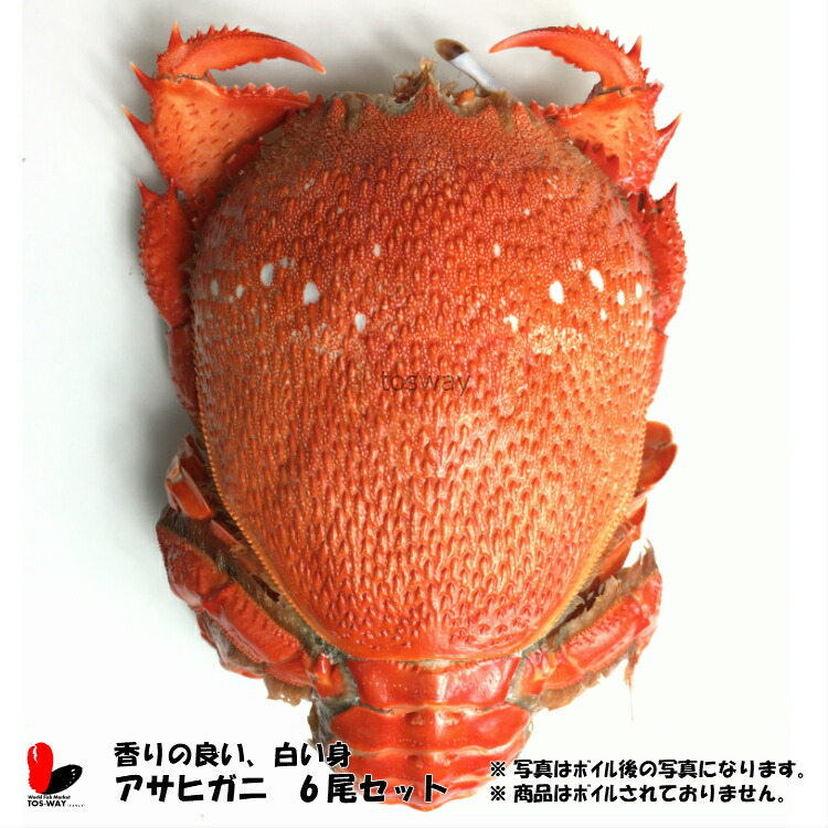 楽天市場 冷凍 アサヒガニ 150 0g 6尾セット World Fish Market Tos Way