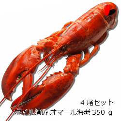 【冷凍】ボイル済みオマール海老　350ｇ　4尾セット
