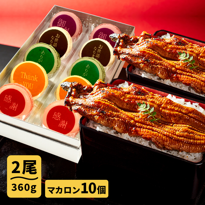 Shop R10s Jp Tosa Unagi Hompo Cabinet Uk Sweets