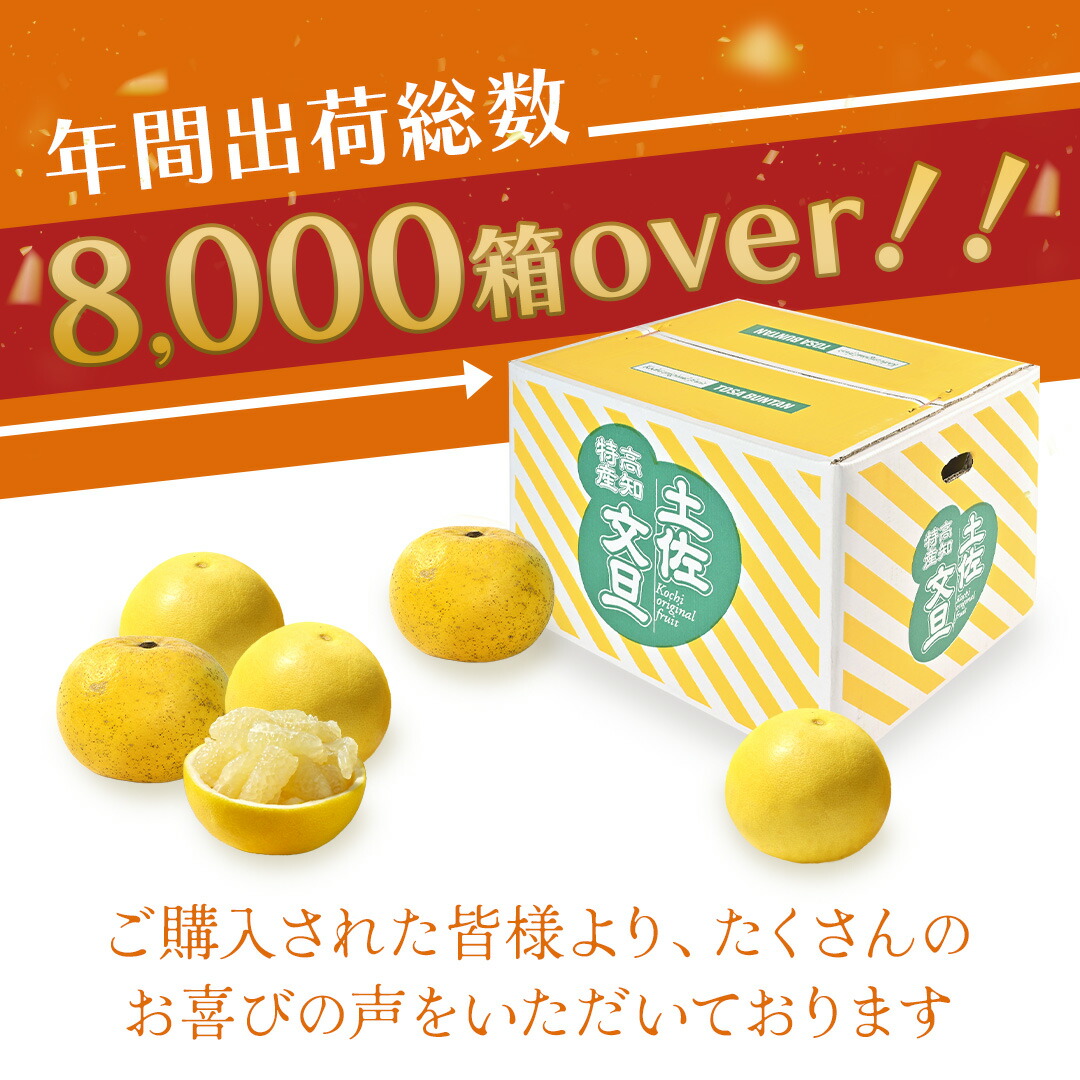 2月上旬より順次出荷予定】【 送料無料 (一部地域を除く) 】訳 2月上旬より順次出荷予定】【 送料無料 (一部地域を除く) 】訳