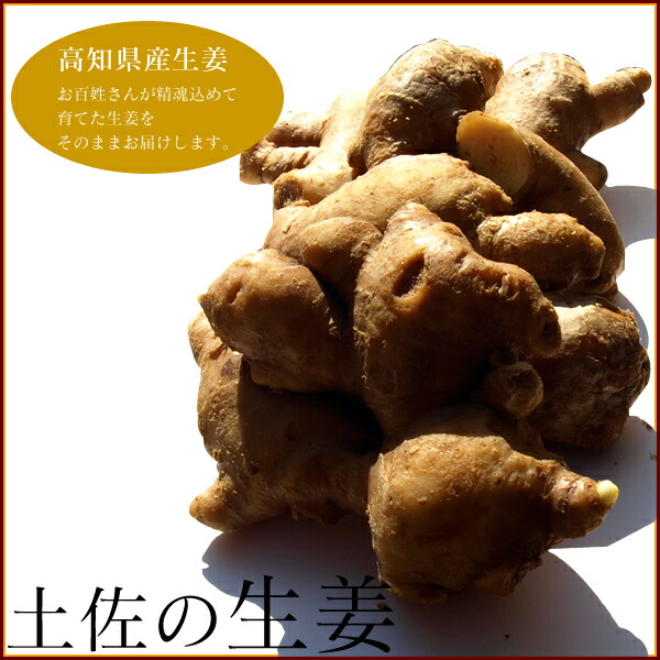大分県産【自然栽培・生姜】種生姜にできます5キロ 無農薬・無肥料の自然栽培生姜 やーやまや (大分県産) 生姜通販