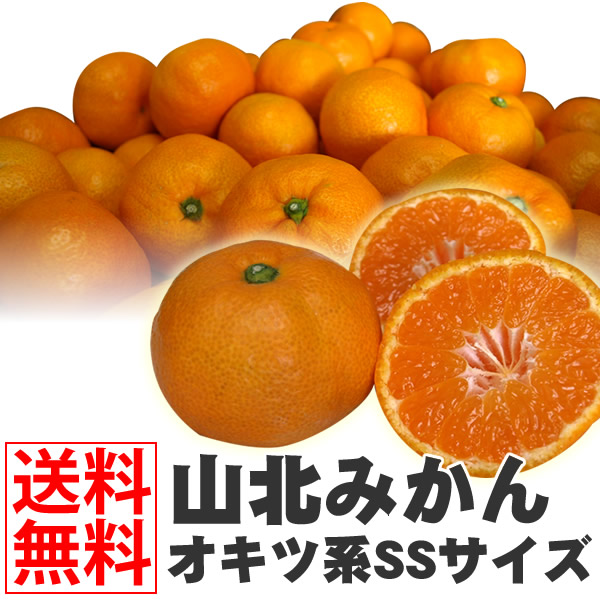 楽天市場】＼ 店内全品 ポイント2倍 ／ 【 送料無料 】高知県産 山北