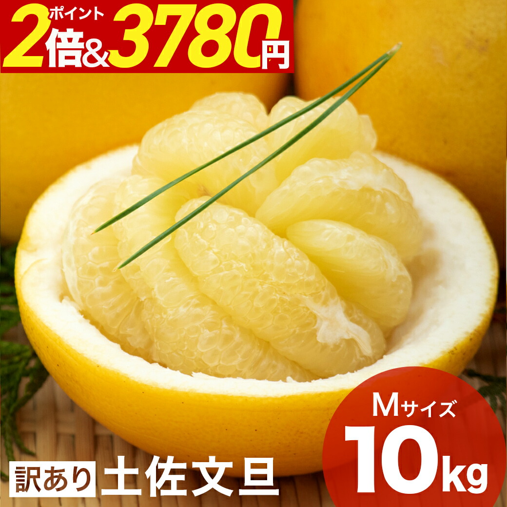 楽天市場】＼クーポンで200円OFF& ポイント2倍 ／ 大玉 限定 土佐 文旦