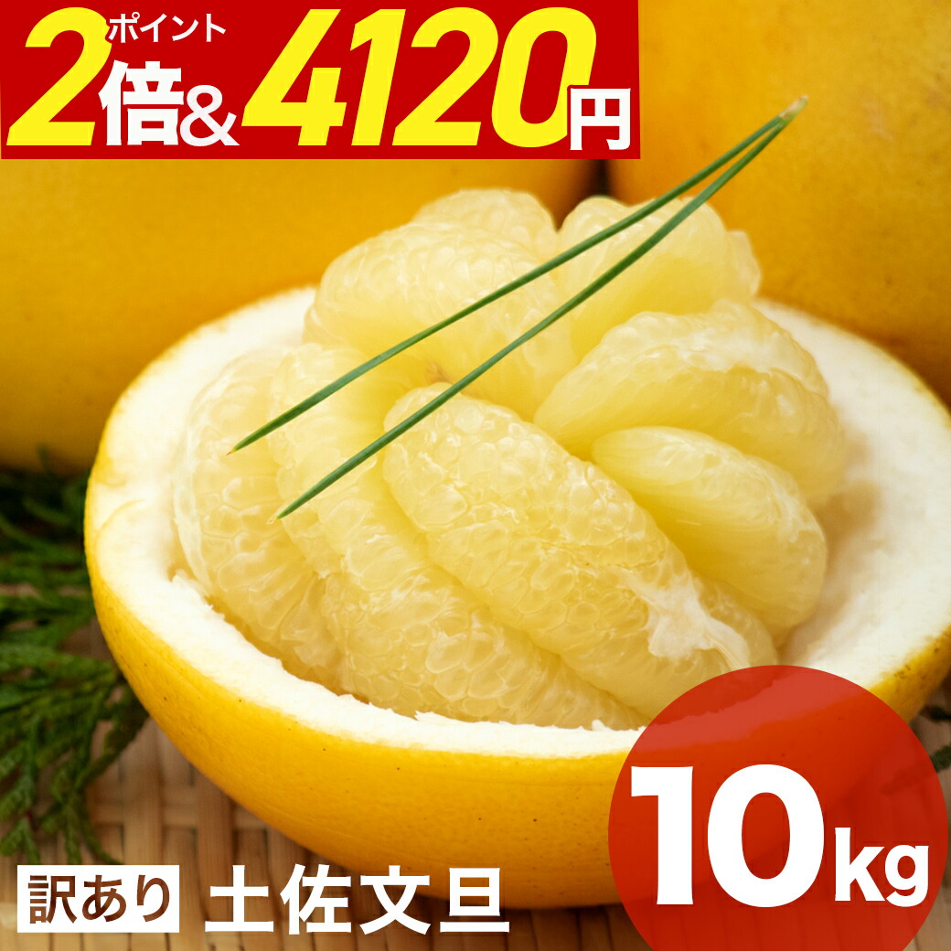 楽天市場】＼クーポンで200円OFF& ポイント2倍 ／ 大玉 訳あり 土佐