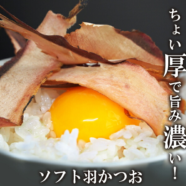 楽天市場 メール便で送料無料 ソフト羽かつお 3袋セット 代引きの場合 別途送料必要です 珍味堂 ひろめ店