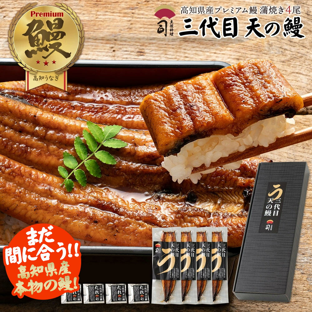 うなぎ ギフト 三代目 天の鰻高知県産【蒲焼き】4尾セット うなぎの蒲焼き 贈答用 国産 鰻 高知県産うなぎ蒲焼 セット 鰻蒲焼き 国産うなぎ 国産ウナギ うなぎ通販 高級グルメ プレゼント 甘くないギフト お買物マラソン セール SALE|土佐料理発祥の店・土佐料理 司