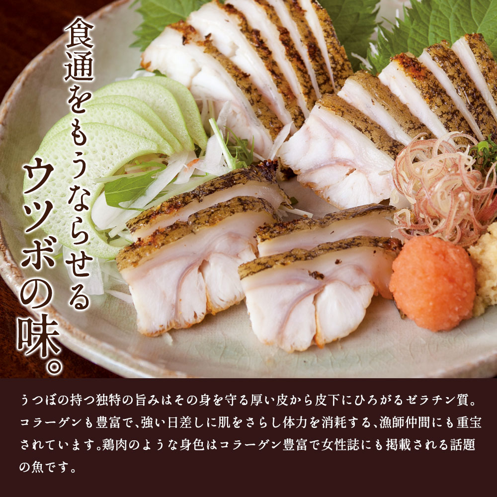 市場 うつぼのたたき ギフト グルメ おつまみ 土佐 贈り物 高知 お中元 ウツボのたたき 珍味 誕生日 お取り寄せ ウツボ