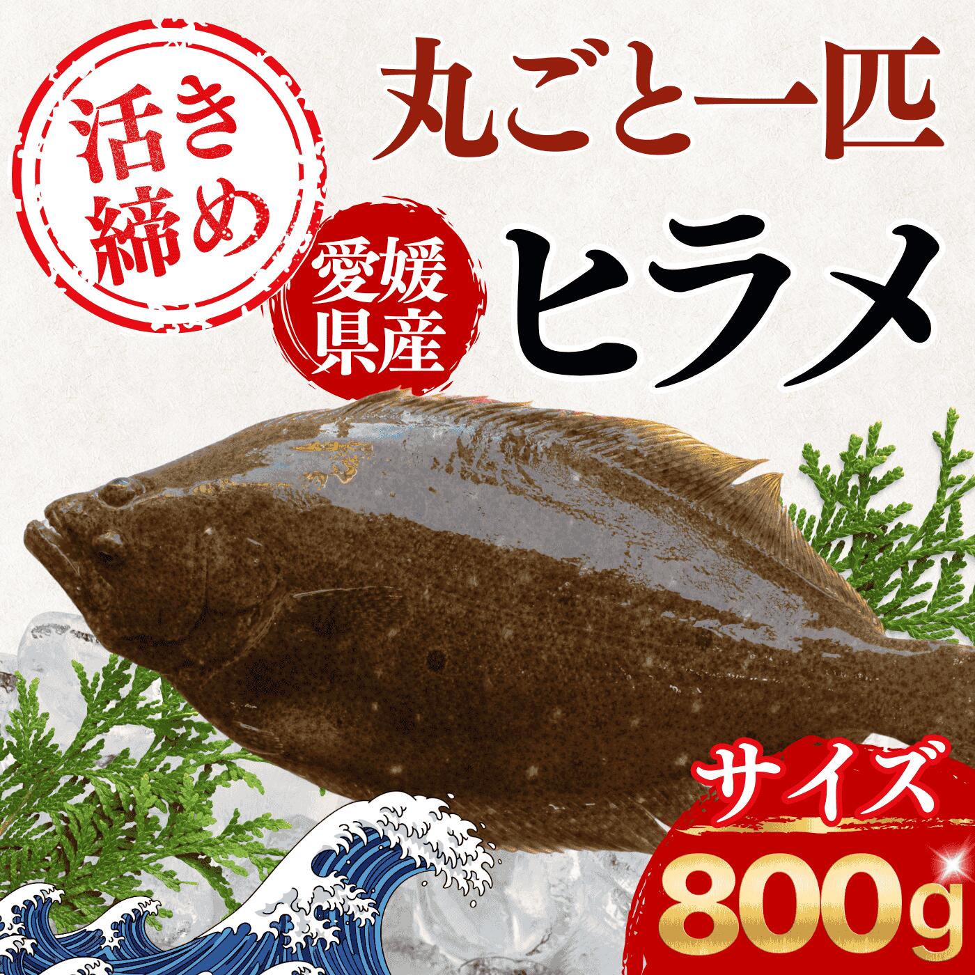 楽天市場】【送料無料】天然ヒラメ 平目 日本海産 4.0〜4.4キロ物