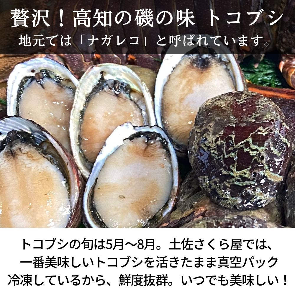 最大87 Offクーポン 高知県産 とこぶし 約 2kg トコブシ ナガレコ 流れ子 ながれこ 冷凍 土佐清水 産地直送 お中元 父の日 ギフト Fucoa Cl