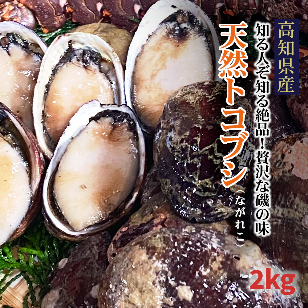 95％以上節約 高知県産 とこぶし 約 2kg トコブシ ナガレコ 流れ子 ながれこ