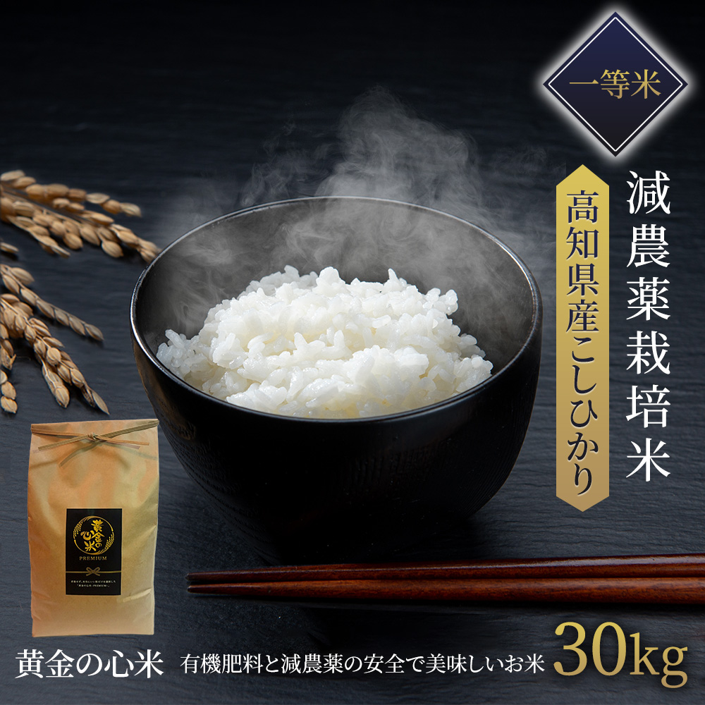 法人様価格 特別栽培米 精米20kg 減農薬 有機肥料 R2年 コシヒカリ 米