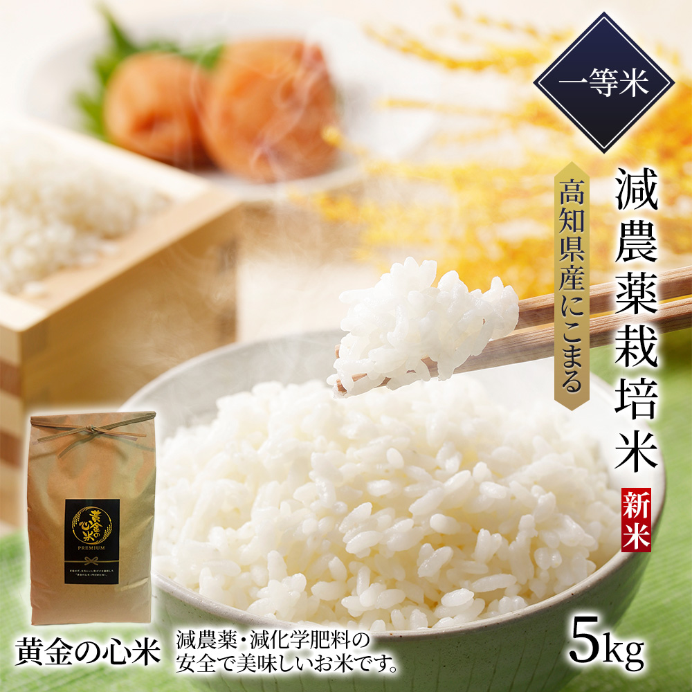 高食味！令和5年 減農薬栽培 高知コシヒカリ白米10キロ(5kg×2)玄米可能