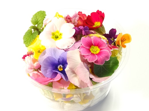 食べられるお花！料理が華やか、トッピングにおすすめの食用花はどれ？