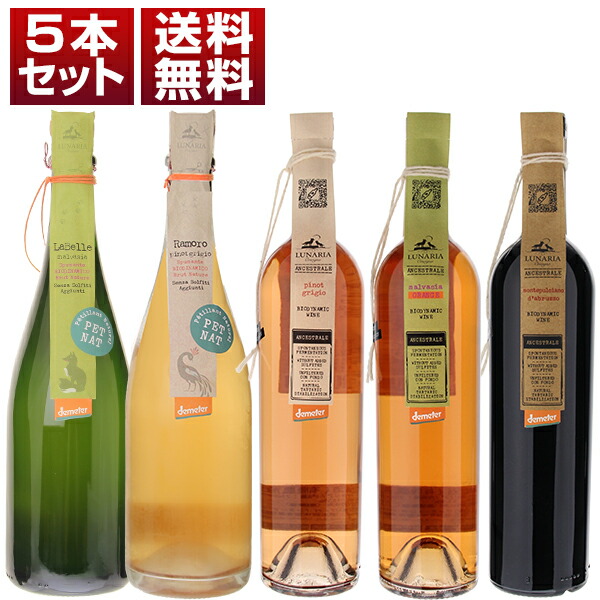 グレープシードオイル ペットボトル500ml×12本ソルレオーネ同梱不可