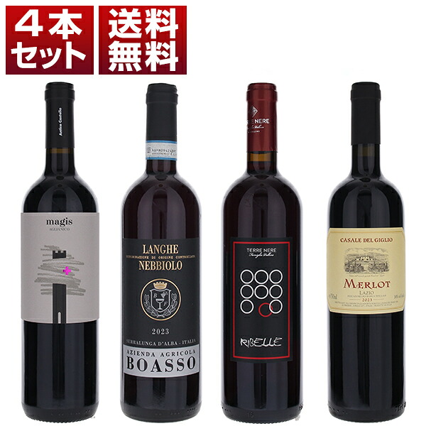 【送料無料】イタリアを代表する三大品種 ネッビオーロ サンジョヴェーゼ アリアニコ ＆メルローを味わう トスカニー直輸入 コストパフォーマンス抜群 赤4本セット ワインセット 赤 赤ワイン (750ml×4) アリアーニコ 母の日