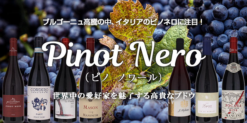 楽天市場】【6本〜送料無料】アキッレ 2021 カーゼ コリーニ 赤ワイン