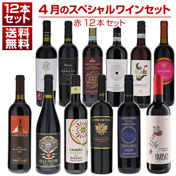【送料無料】1本あたり1210円！4月のスペシャルワインセット赤12本 ワインセット 赤 赤ワイン (750ml×12) 福袋 同梱不可 イタリア 母の日