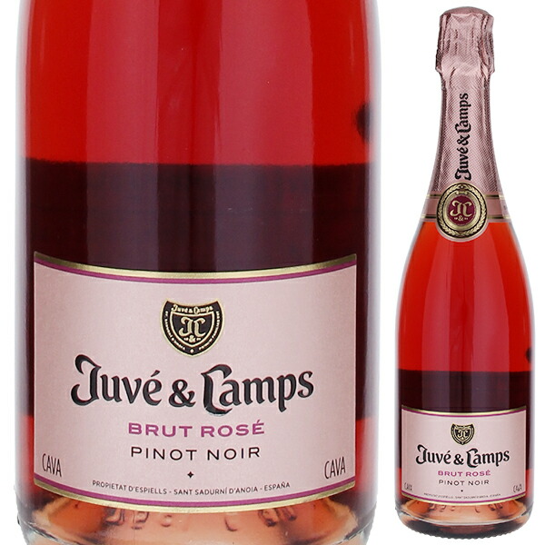 楽天市場】ジュヴェ・カンプス（ロゼ） エッセンシャル ピノ・ノワール
