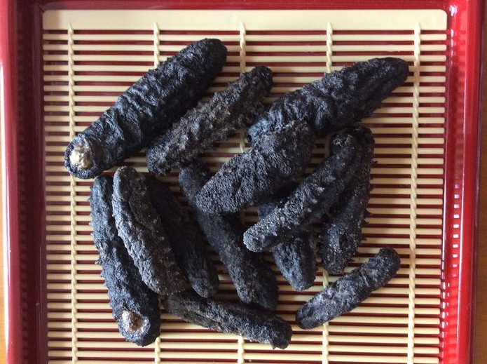 公式 楽天市場 乾燥なまこ 1kg40 80個前後入 訳あり B級品 関西産 ナマコ 海参 なまこ ナマコ 海参 乾燥なまこ 乾燥ナマコ 干しナマコ 干しなまこ 東成なまこや 数量は多 Lexusoman Com